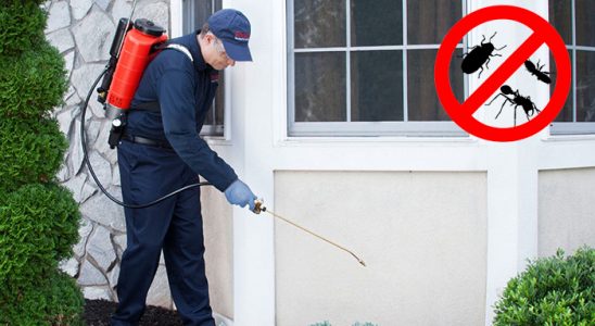 Basınsitesi Pire İlaçlama böcek ilaçlama ve haşere kontrolü — ilaclama-tr.com